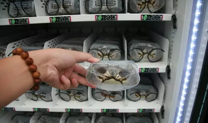 suncitygroup太阳集团·(中国)首页登录